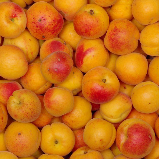 Abricot (France) - 1 kg