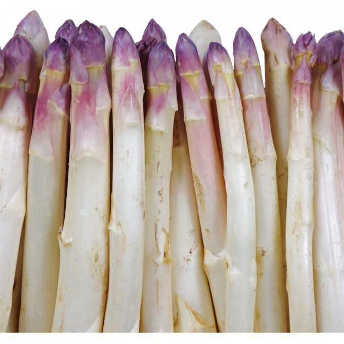 Asperges Blanches (France) Calibre 16 - 500g