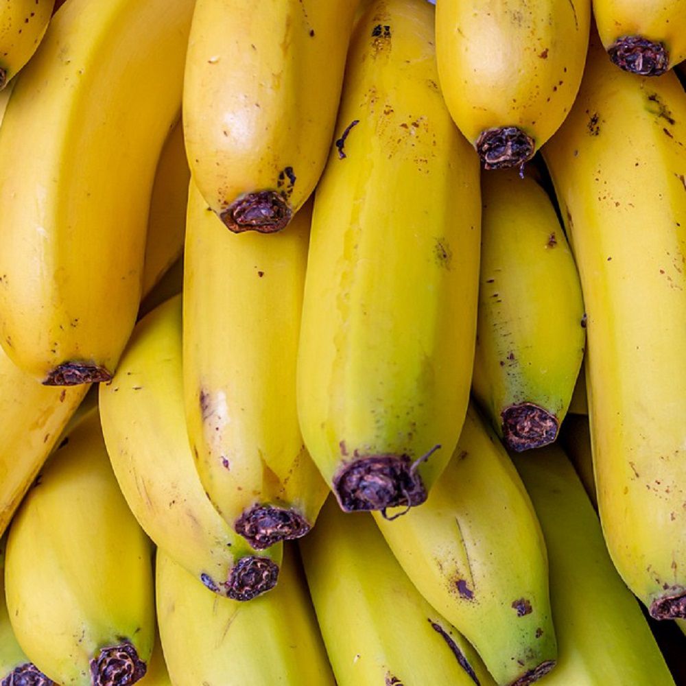 Banane BIO (Colombie/Ghana) - 1kg