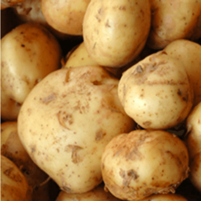 Pommes de terre Primeur (France) - 1 kg