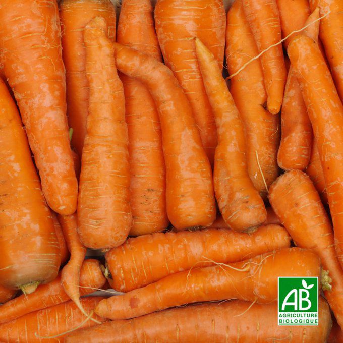 Carottes Bio en vrac (France) - 1 kg