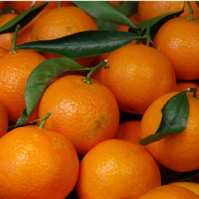 Clémentines Bio (Espagne) - 1 kg
