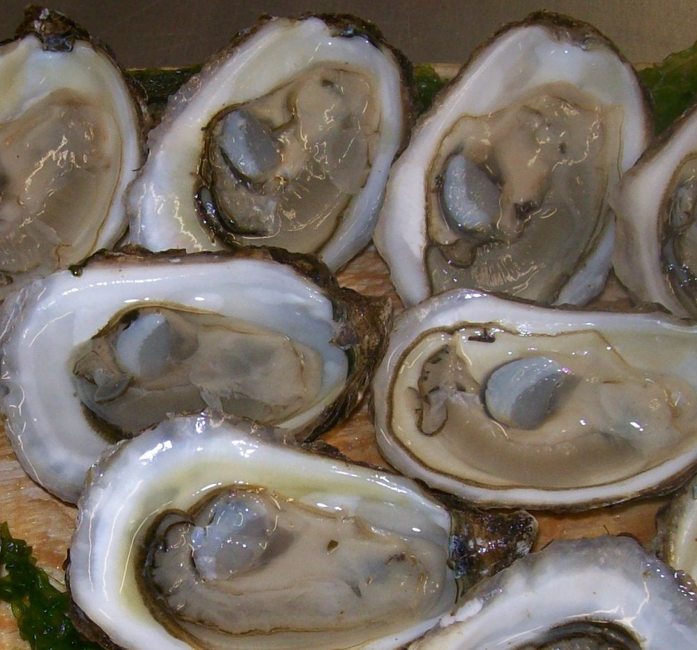 Douzaine d'huîtres (Cap Ferret)