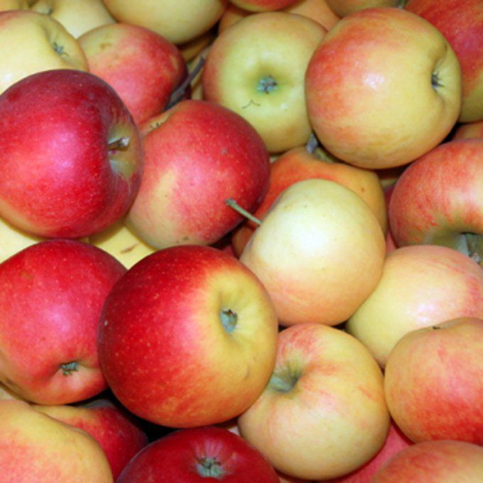 Pommes Elstar (France) - 1kg