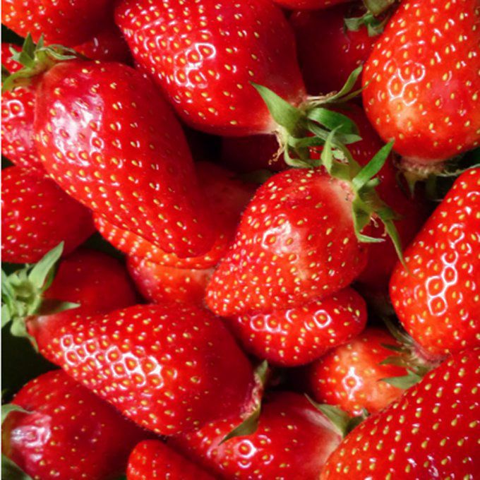 Fraise (France) - 250 g