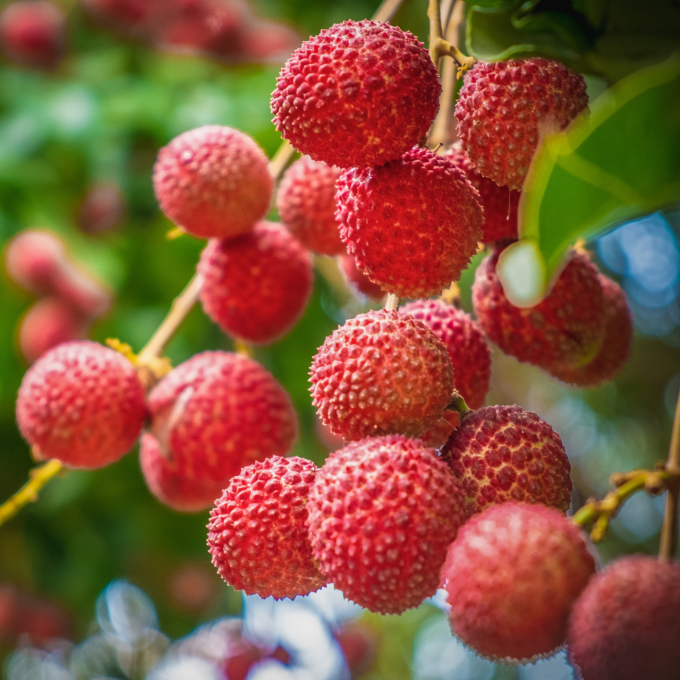 Litchi de la Réunion (Avion) - 500g 