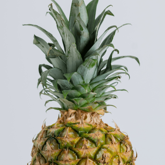 Ananas Victoria (Réunion)