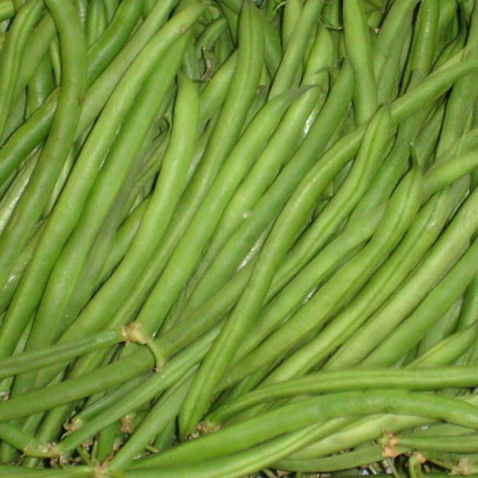 Haricots verts fins (France) - 600g