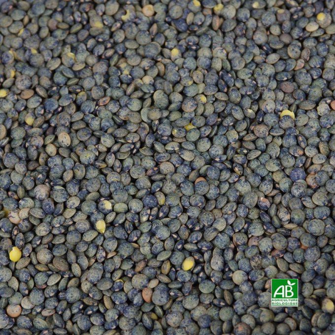 Lentilles vertes BIO en Vrac (Gironde) - 1 kg