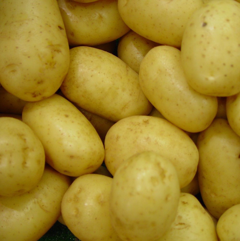 Pommes de terre nouvelles BIO "Lady Christl" (France) - 1kg