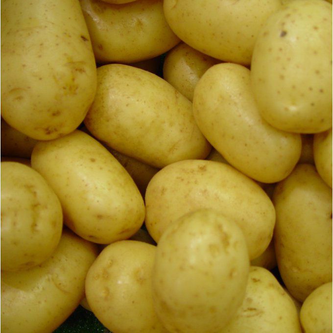 Pommes de terre (France) - 1kg
