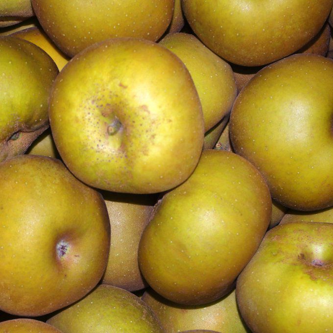 Pommes Canada grise (France) - 1 kg