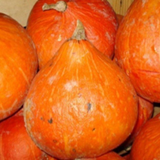 Potimarron (FRANCE) - Morceau de 700g