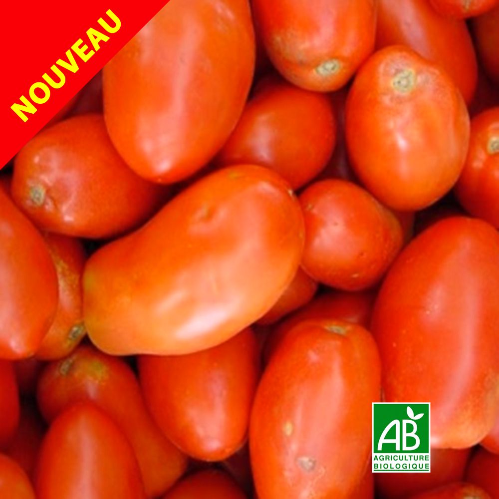 Tomates "Roma" Bio (Espagne) - 1 kg
