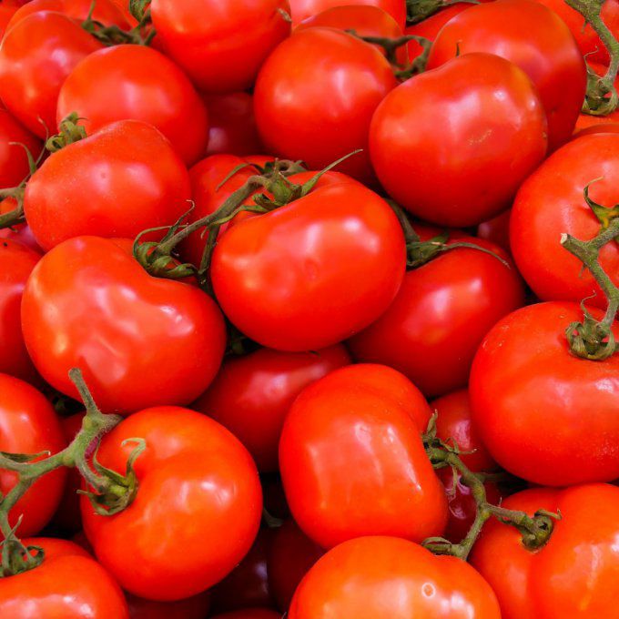 Tomates rondes (France) - 1 kg