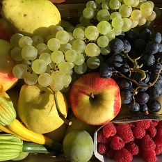 Fruits